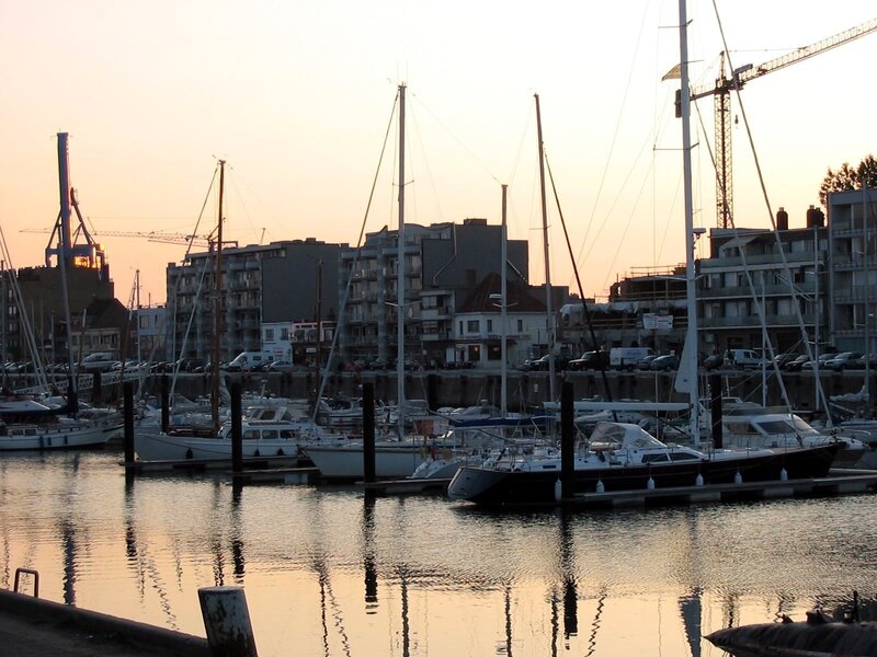 Sailboats in a harbor at sunset