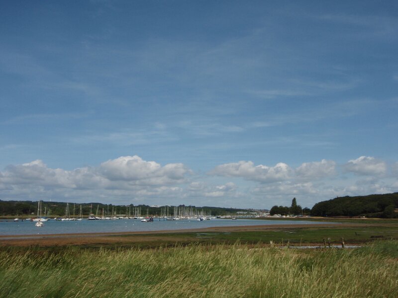 Sailboats in a Harbor — Blue, Serene, Afternoon, Photograph, Grass
