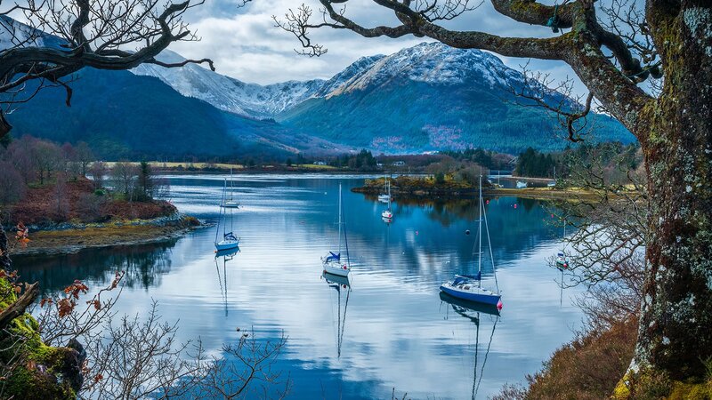 Sailboats in a Lake