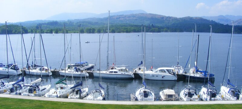 Sailboats in a Marina