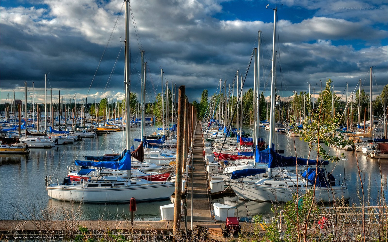 Sailboats in a marina under stormy sky