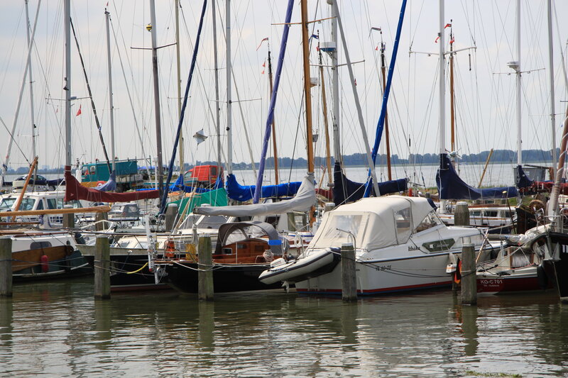 Sailboats in a Marina — White