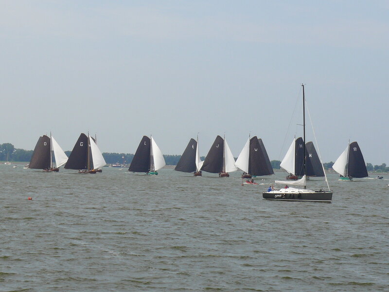Sailboats in a Race