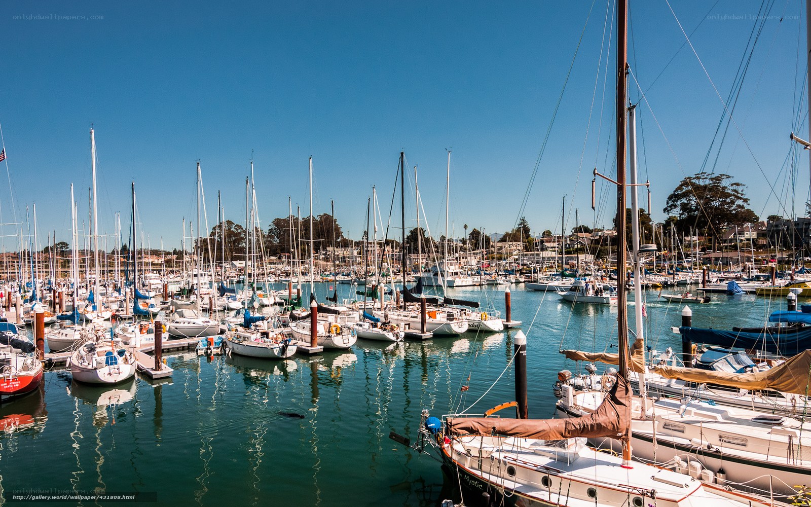 Sailboats in a sunny harbor