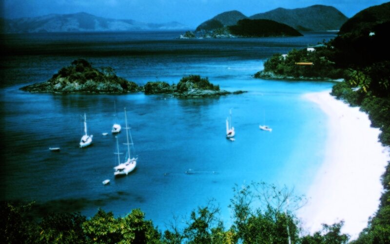 sailboats in a tropical bay