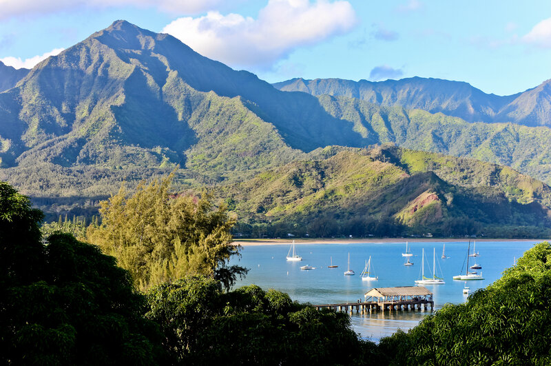 Sailboats in Bay — Green, Serene