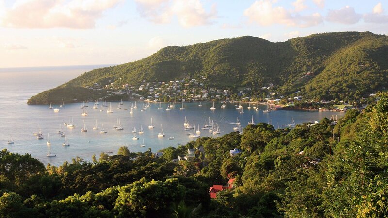 Sailboats in Bay — Green