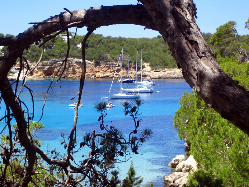 Sailboats in Blue Bay — Serene, Afternoon, Photograph