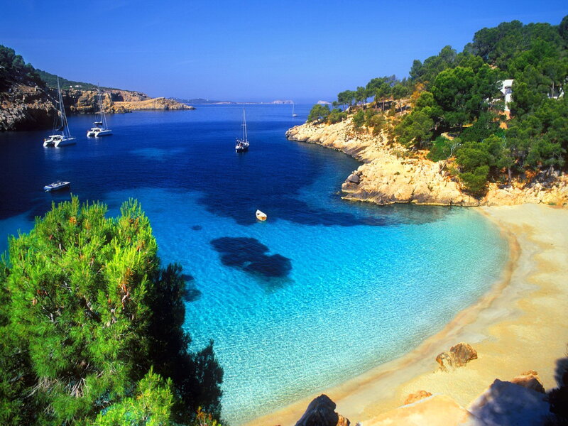 Sailboats in Blue Cove