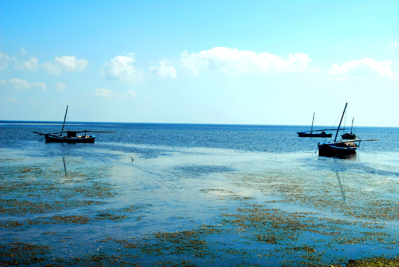 Sailboats in Calm Water