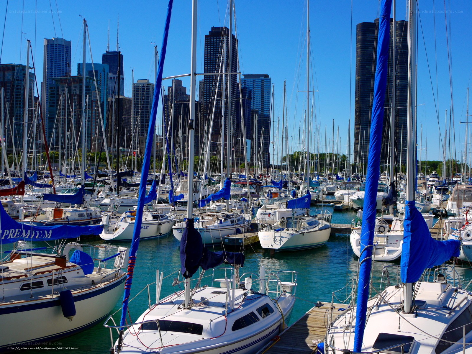Sailboats in Chicago harbor
