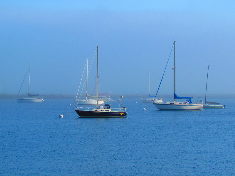 Sailboats in Harbor — Blue, Calm, Morning