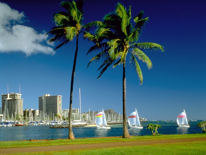 Sailboats in Harbor — Blue, Serene, Afternoon, Photograph