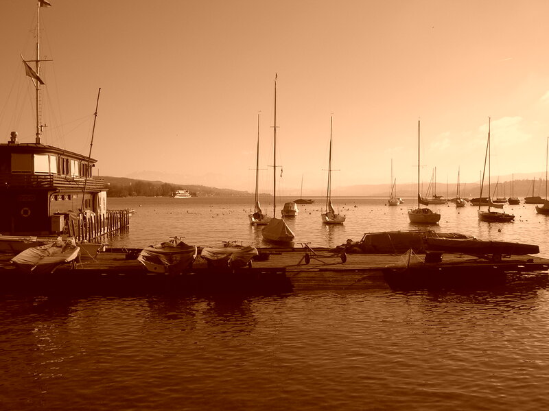 Sailboats in Harbor — Brown, Serene