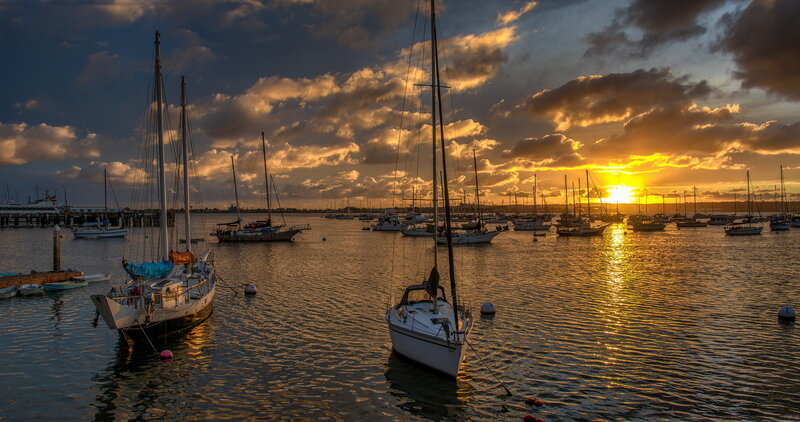 Sailboats in Harbor — Gold