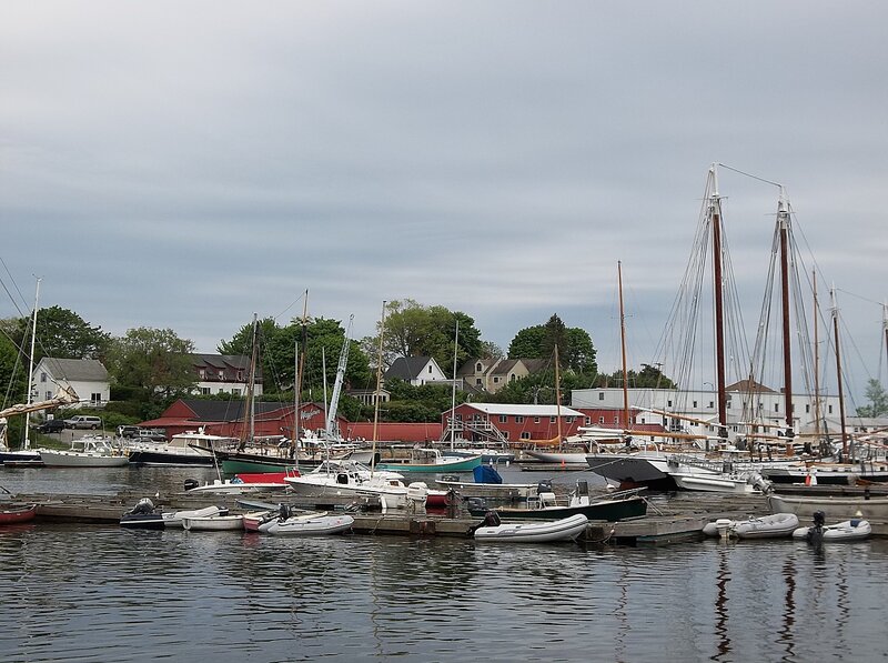 Sailboats in Harbor — Gray, Calm