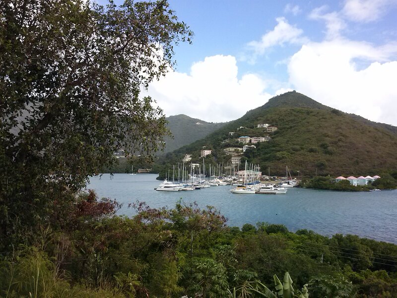 Sailboats in Harbor — Green, Serene, Afternoon
