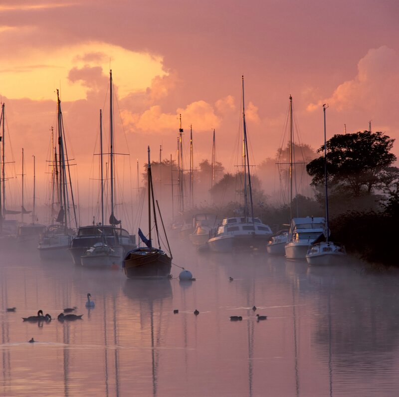 Sailboats in Harbor — Pink, Serene