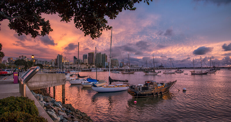 Sailboats in Harbor — Pink