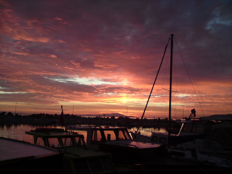 Sailboats in Harbor — Purple, Dramatic