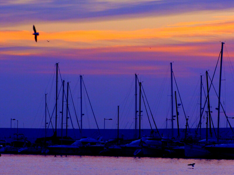 Sailboats in Harbor — Purple, Serene