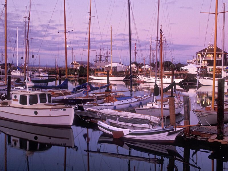 Sailboats in Harbor — Purple