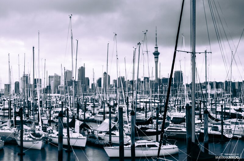 Sailboats in Marina — Black, Overcast