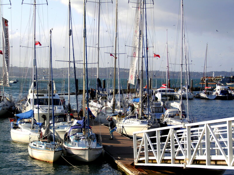 Sailboats in Marina — Blue, Calm, Afternoon, Photograph