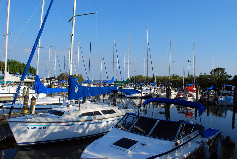 Sailboats in Marina — Blue, Serene, Afternoon, Photograph