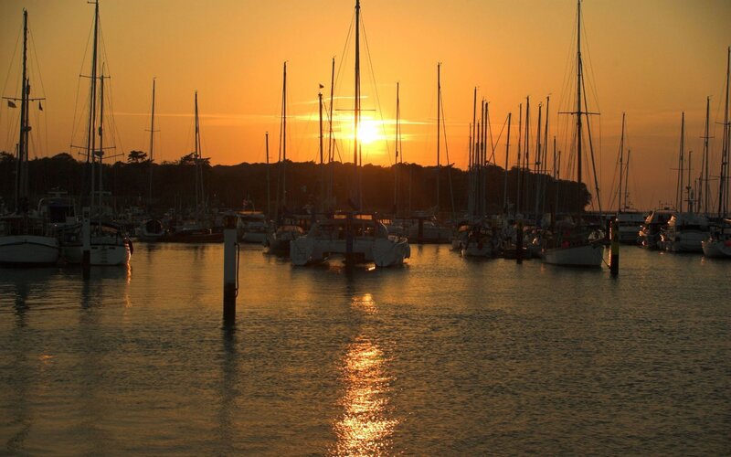 Sailboats in Marina — Orange, Serene, Sunset, Photograph, Masts, Trees
