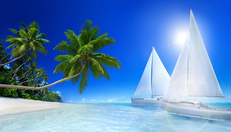 Sailboats Near Palm Trees