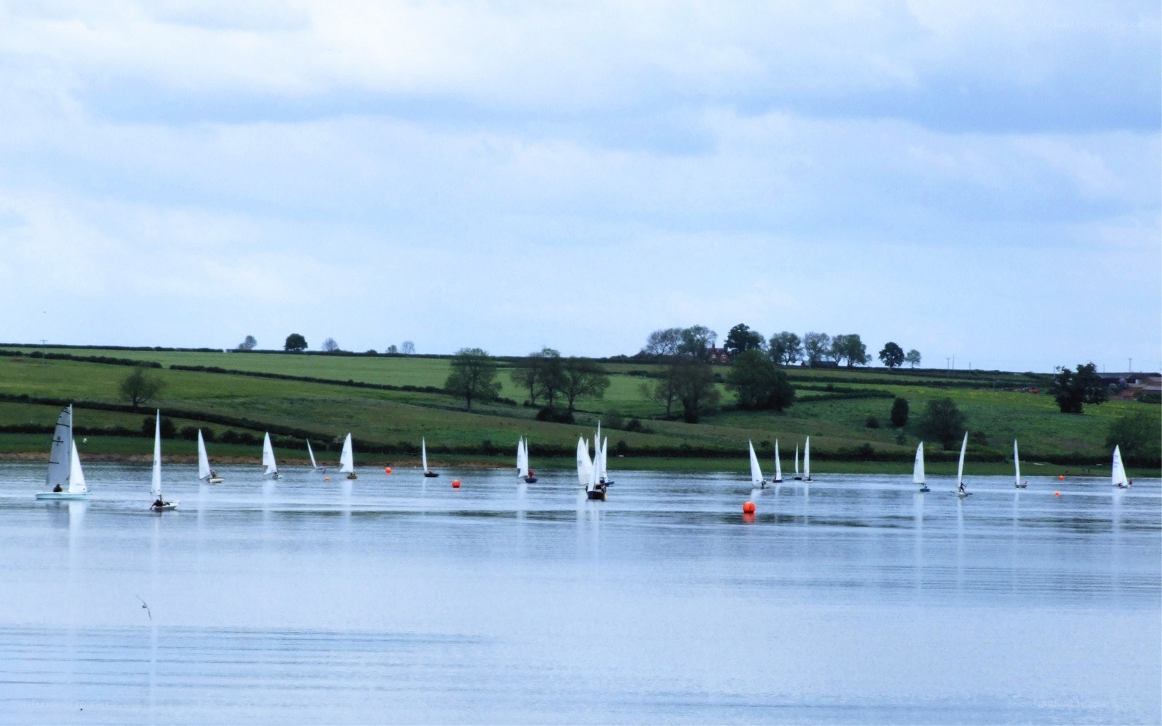 Sailboats on a calm lake