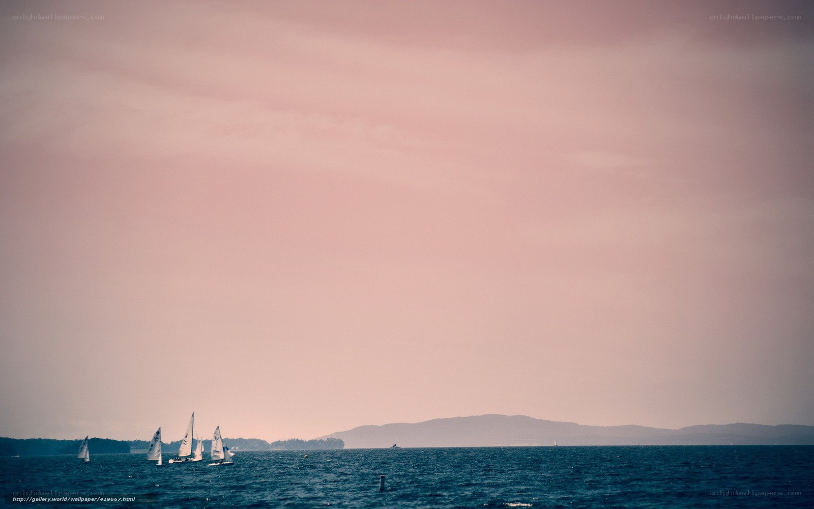 Sailboats on a calm sea