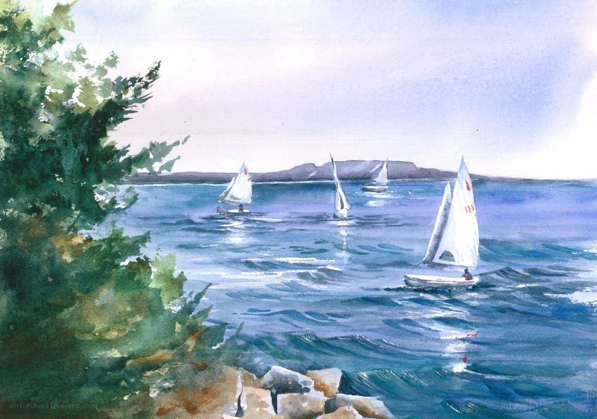 Sailboats on a calm sea