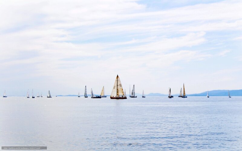 Sailboats on a calm sea