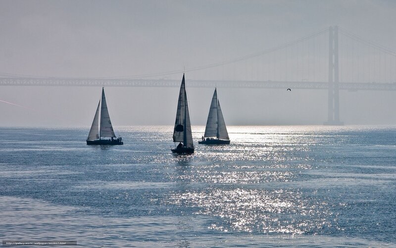 Sailboats on a foggy day