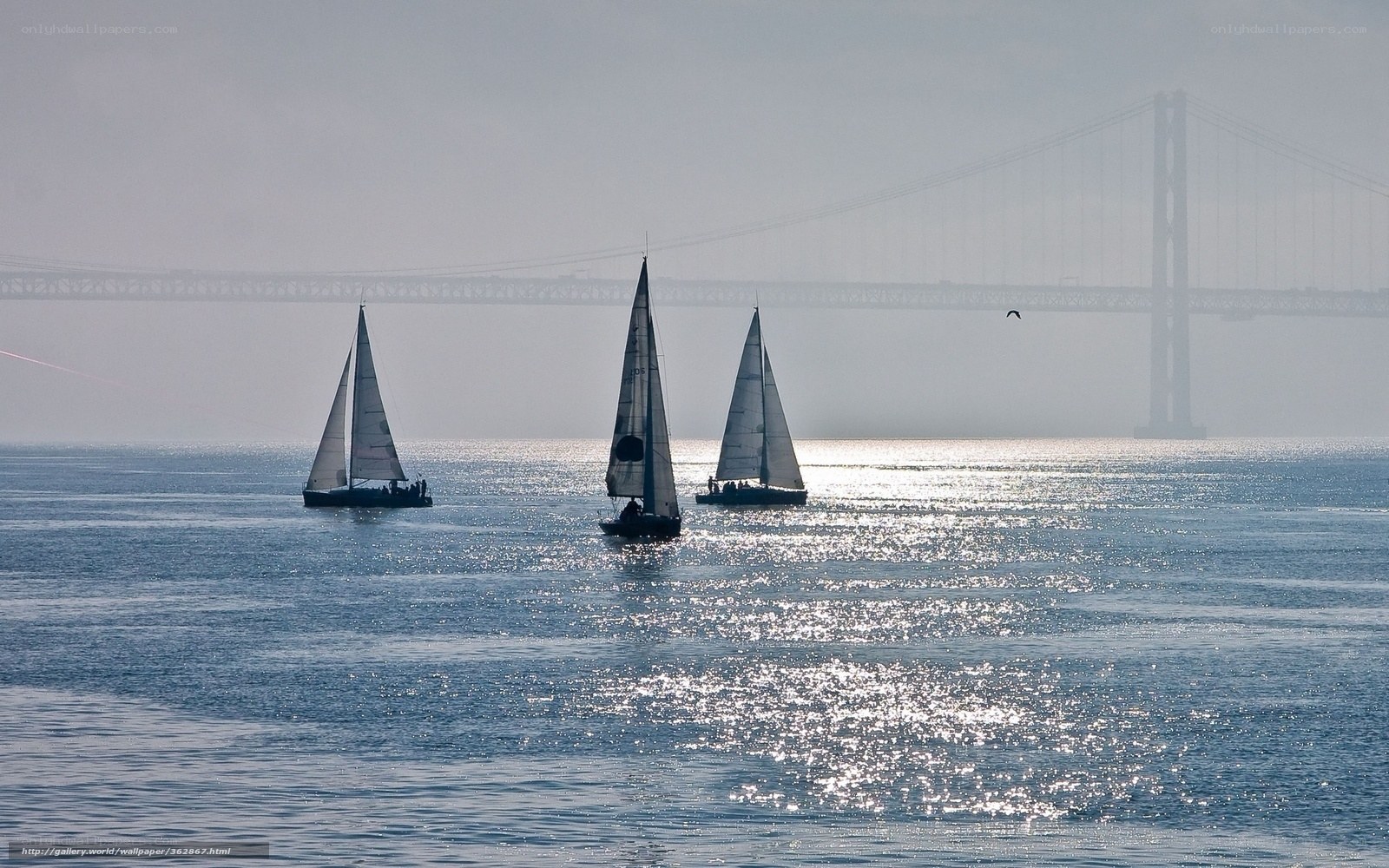 Sailboats on a foggy day