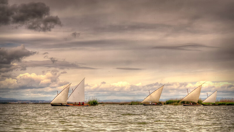 Sailboats on a Lake — Gray