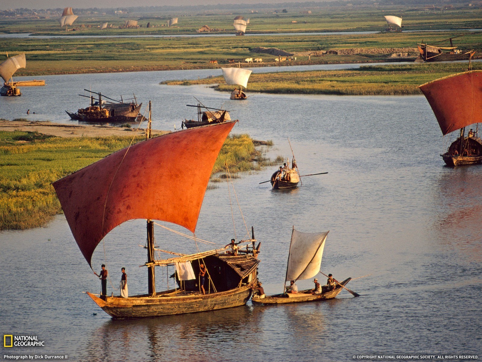 Sailboats on a river