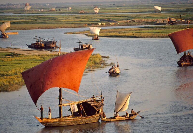 Sailboats on a River — Brown