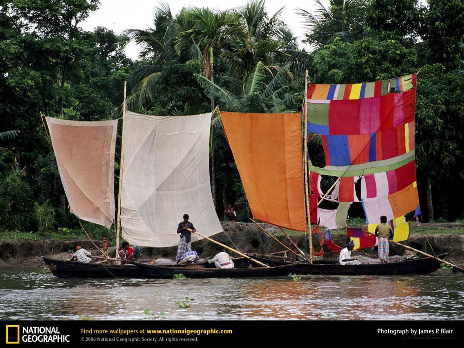 Sailboats on a river