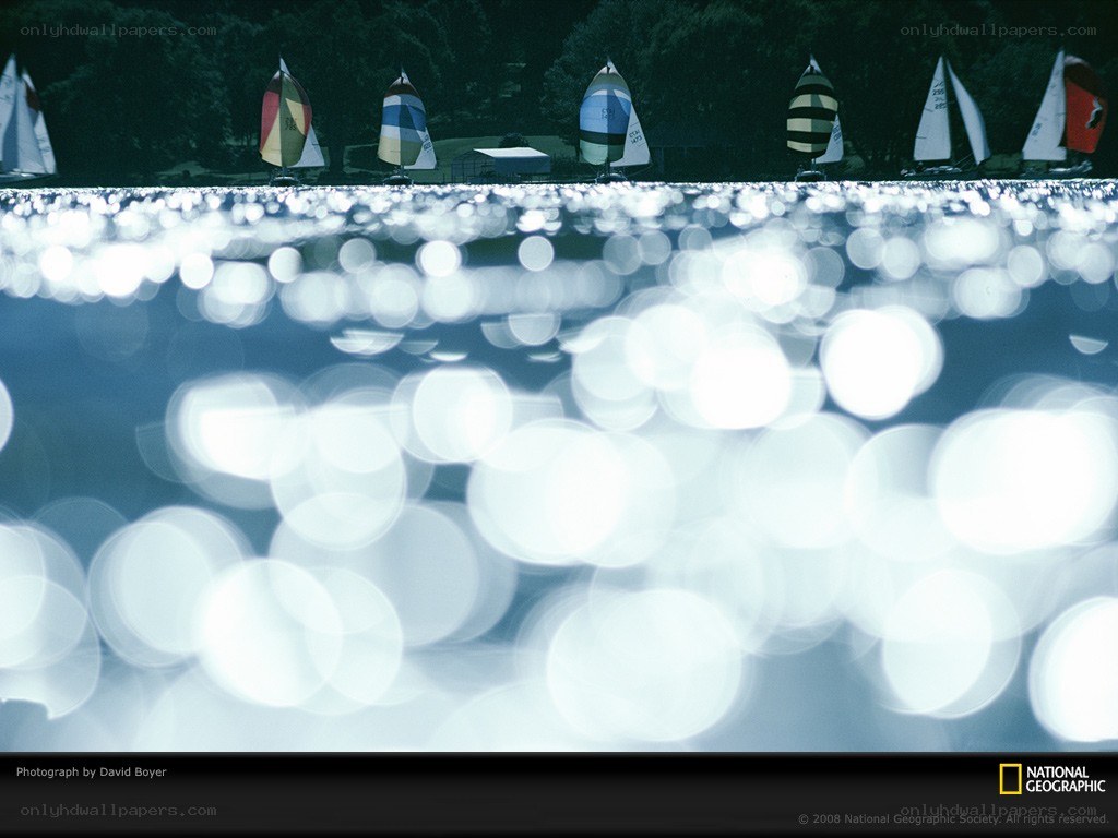 Sailboats on a sparkling lake
