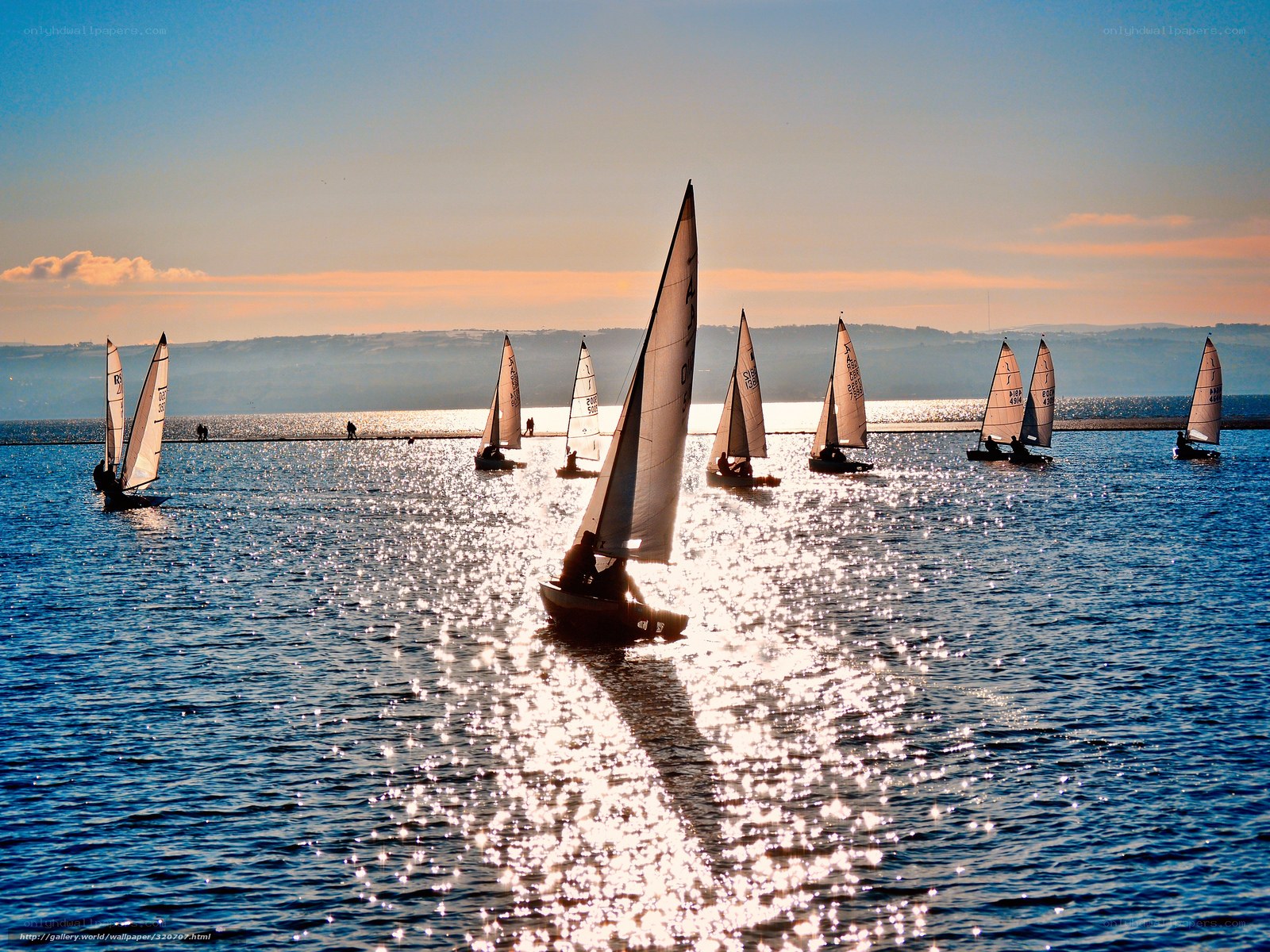 Sailboats on a sparkling lake