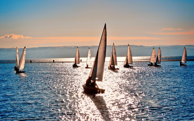 Sailboats on a sunny day