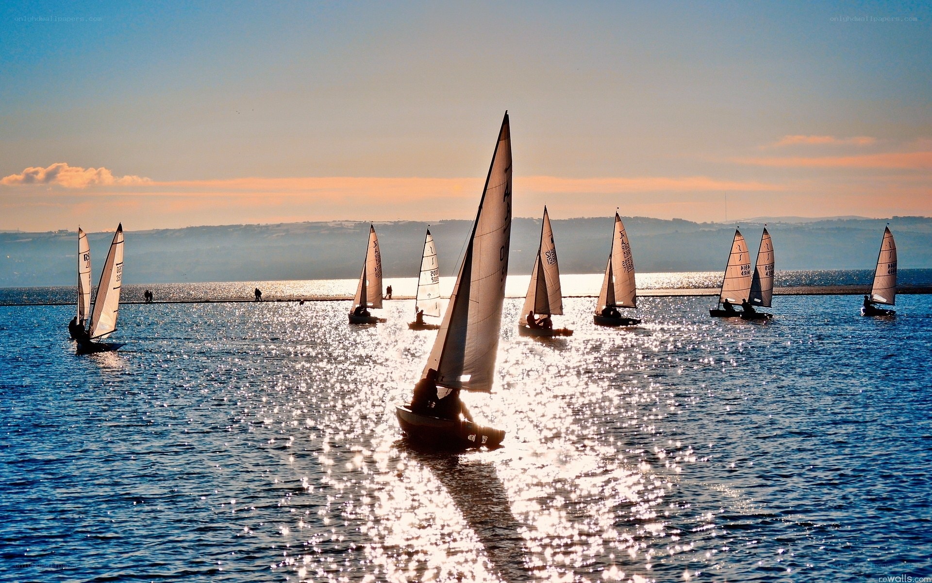 Sailboats on a sunny day