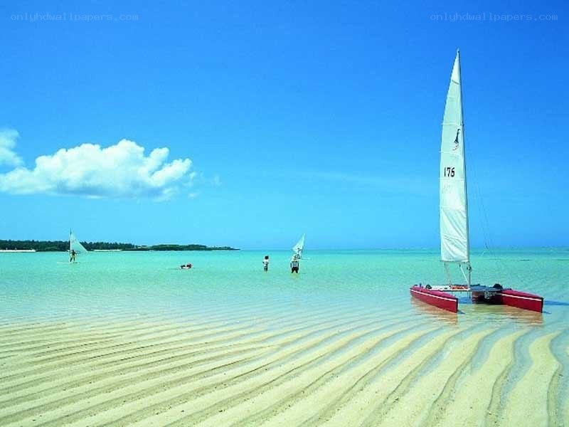 Sailboats on a tropical beach