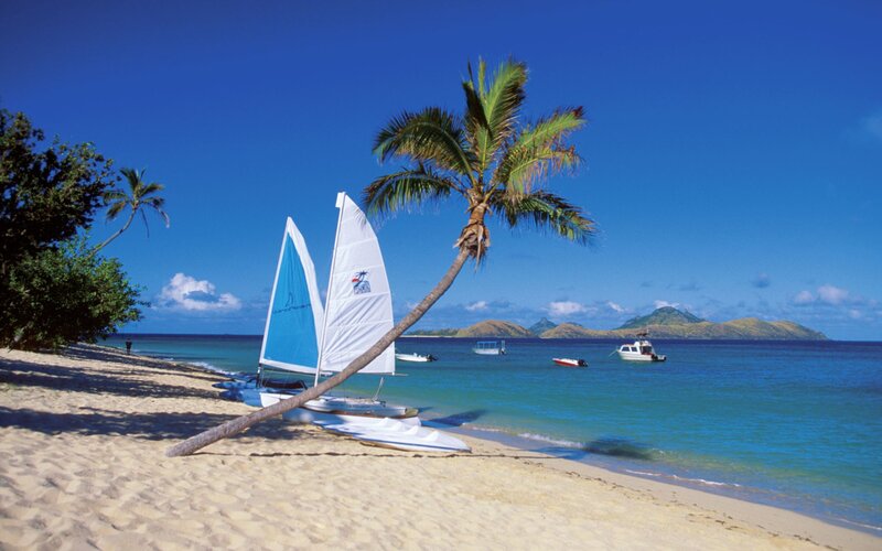 Sailboats on Beach — Blue, Serene, Afternoon, Photograph, Palm Tree, Boat