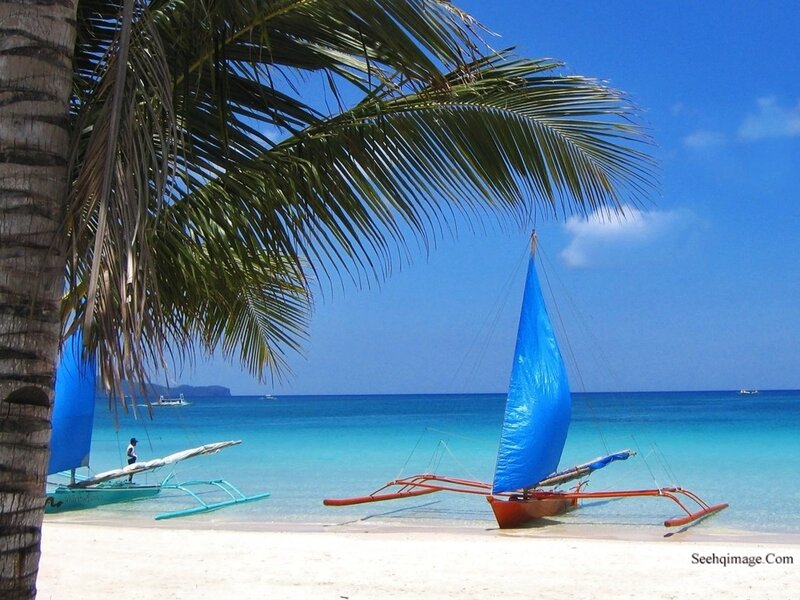 Sailboats on Beach — Blue, Serene, Afternoon, Photograph, Palm Tree