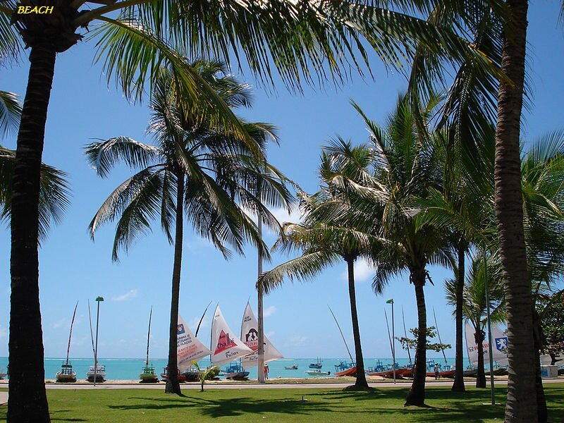 Sailboats on Beach — Blue, Serene, Afternoon