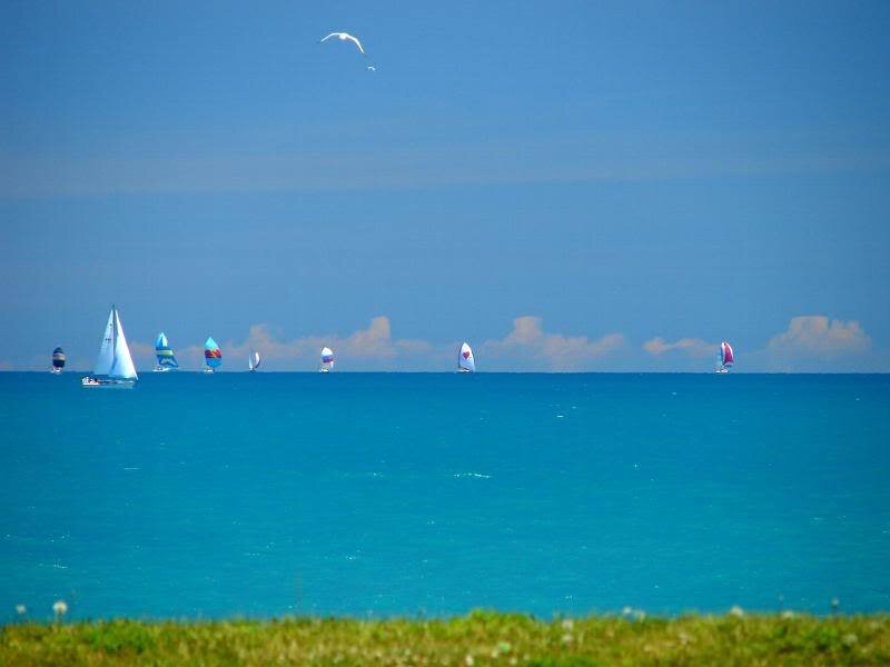 Sailboats on Blue Water — Serene